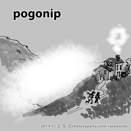 pogonip